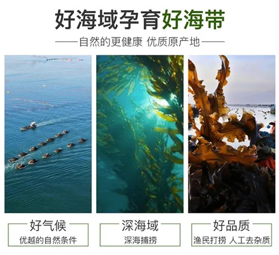 新品来袭！藻鲜生清水火锅海带系列凭借创新赢得市场！