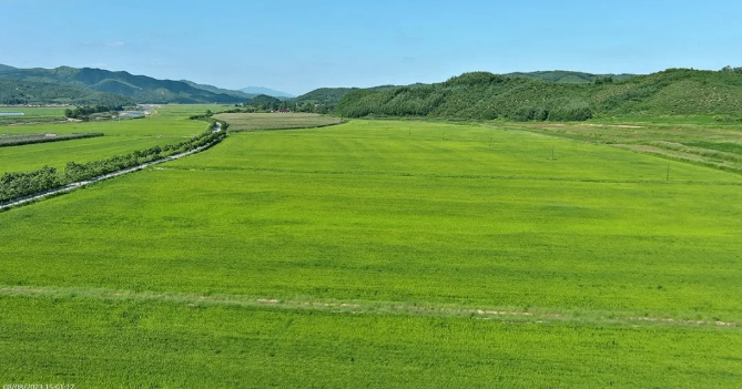 2025食餐会明星企业推荐|辽宁中仓实业：诚信、负责、务实、创新