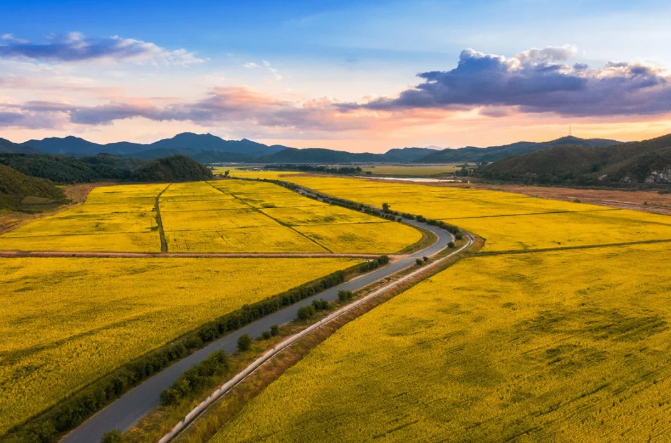 2025食餐会明星企业推荐|辽宁中仓实业：诚信、负责、务实、创新