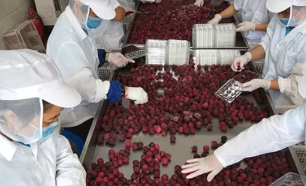 2025长沙食餐会明星企业推荐 | 源梅之家：美味背后的“冰点魔法师”，让每一口都如初摘般新鲜