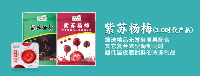 2025长沙食餐会明星企业推荐 | 源梅之家：美味背后的“冰点魔法师”，让每一口都如初摘般新鲜